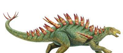 最有标志性的恐龙之一,食草巨兽中的"剑客"——剑龙