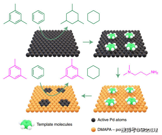 选择性加氢,又一篇nature catalysis!_催化剂