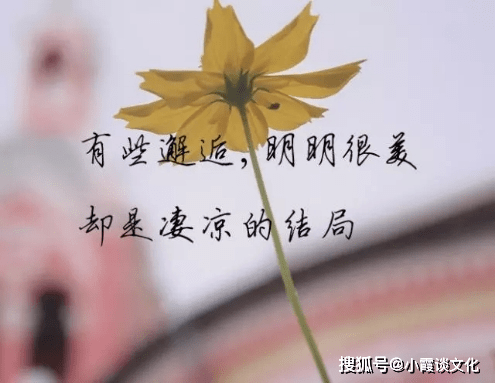 回忆一个人的伤感说说,戳心入骨,只有爱过的人才会懂