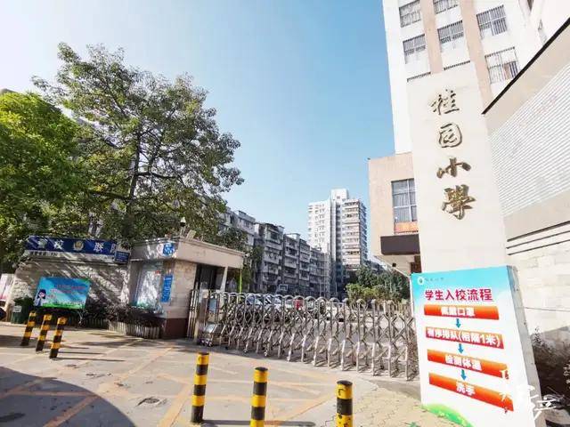 这三个盘对口桂园小学,老牌公立,过去曾是一所机关子弟学校,口碑与