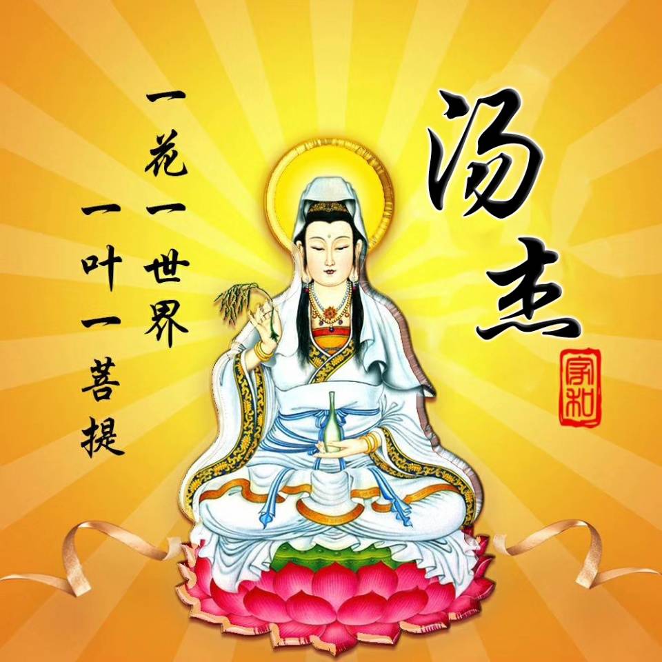 2021生肖鼠微信头像,2021新版微信头像属鼠 2021你的微信头像该换了,26张高端商务十二生肖签名头像,请查收
