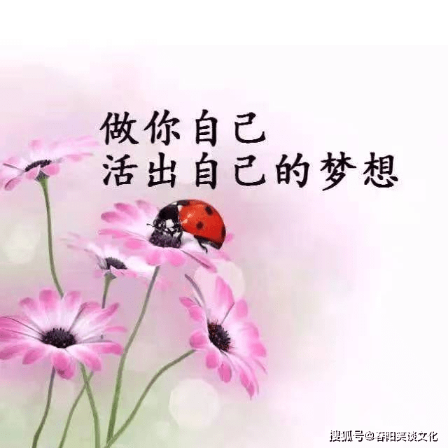 感悟人生2021新图片,图片2021新图片伤感 2021最扎心的人生感悟,精辟现实,让你看透人心