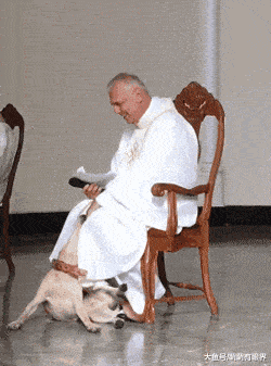 250_337 竖版 竖屏