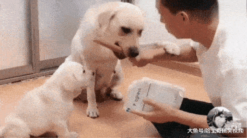 360_202gif 动态图 动图