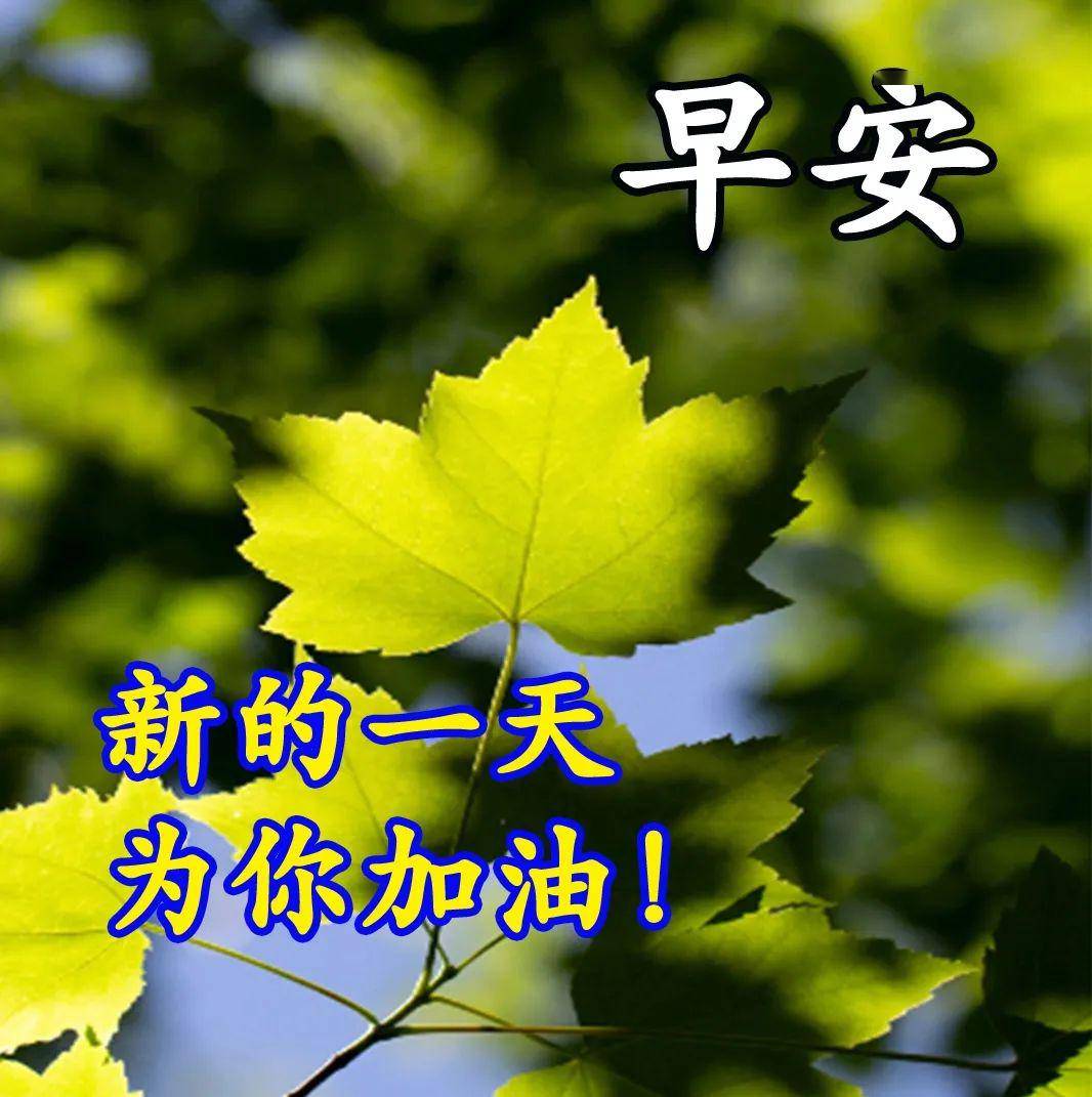 2021最新最全的群发夏天早上好温馨问候语图片,好看的