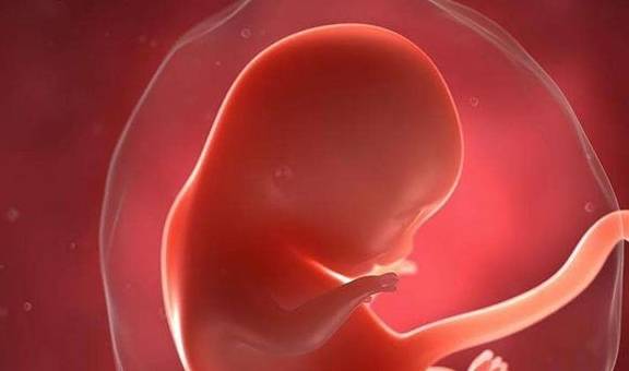 胎儿缺氧常从孕28周开始,改掉三个坏习惯,才能给娃更安稳的环境