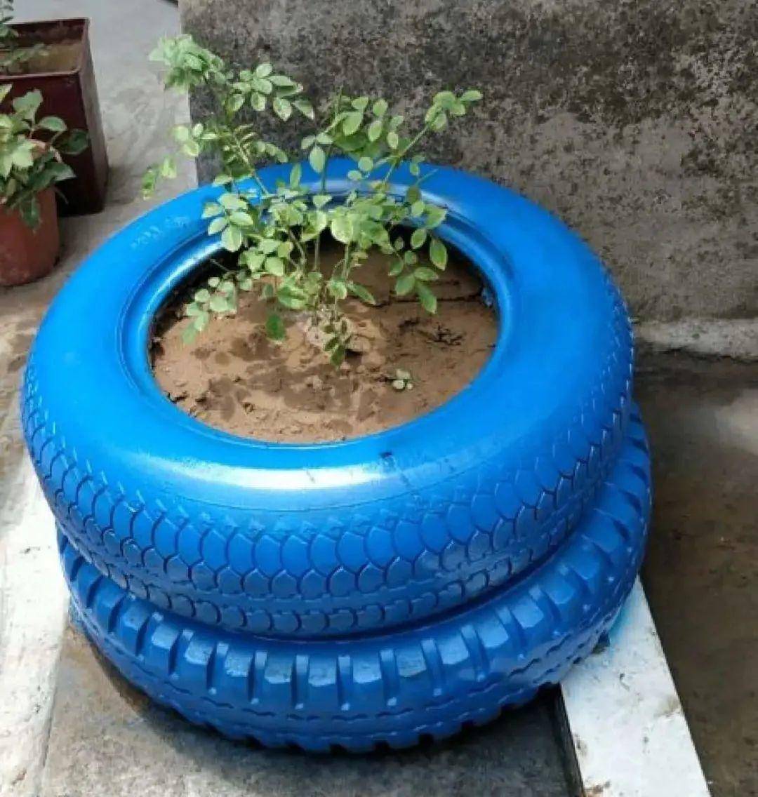 图片作者:梦晴妈除此以外,轮胎还可以切半,涂上不同的颜色,埋在小花园