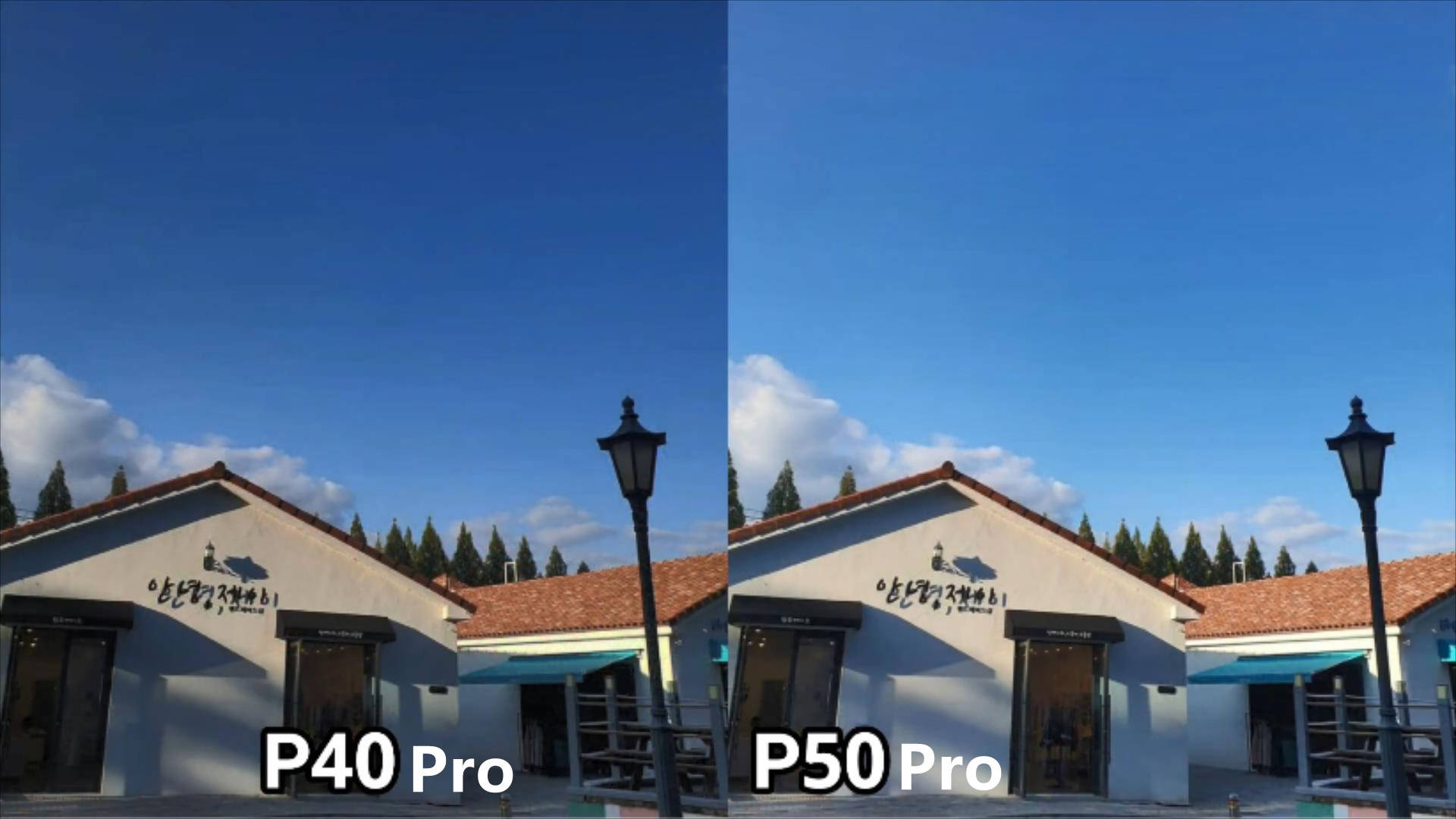 华为p50pro和p40pro,华为p40pro 华为p50pro和华为p40pro拍照对比:都是5000万主摄,谁是拍照机皇