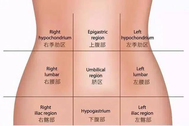 甄俏科技|这两个方法,让你摆脱小肚腩_小肚子