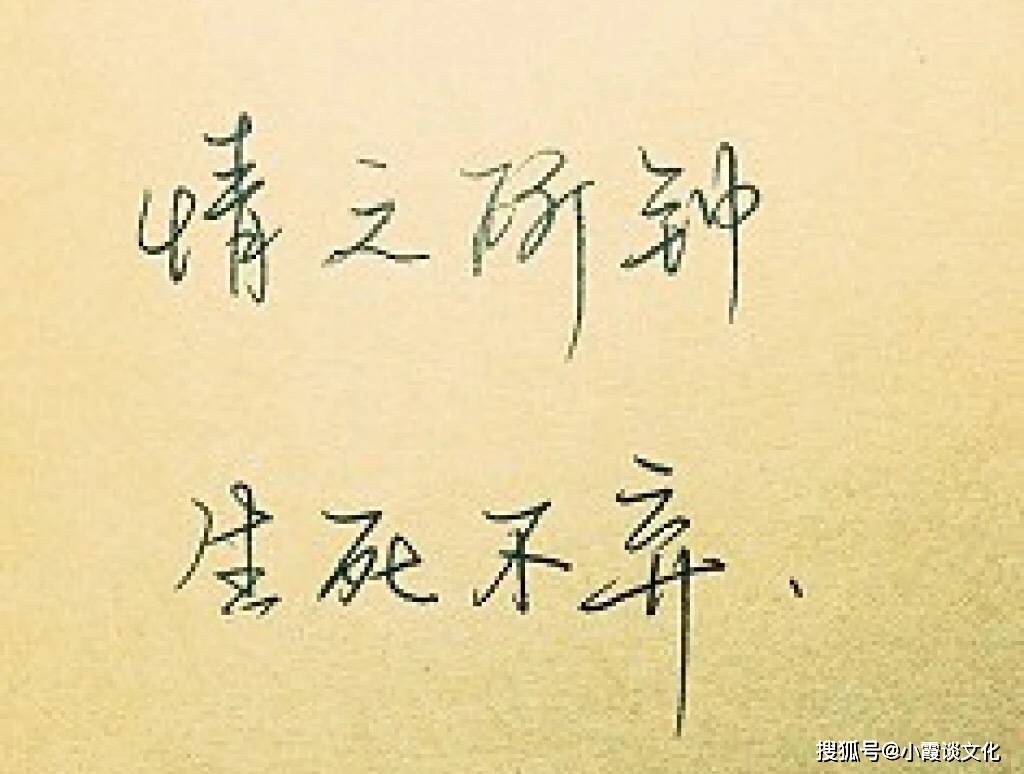 清新气质的女生个性签名,句句唯美动人,致自己!