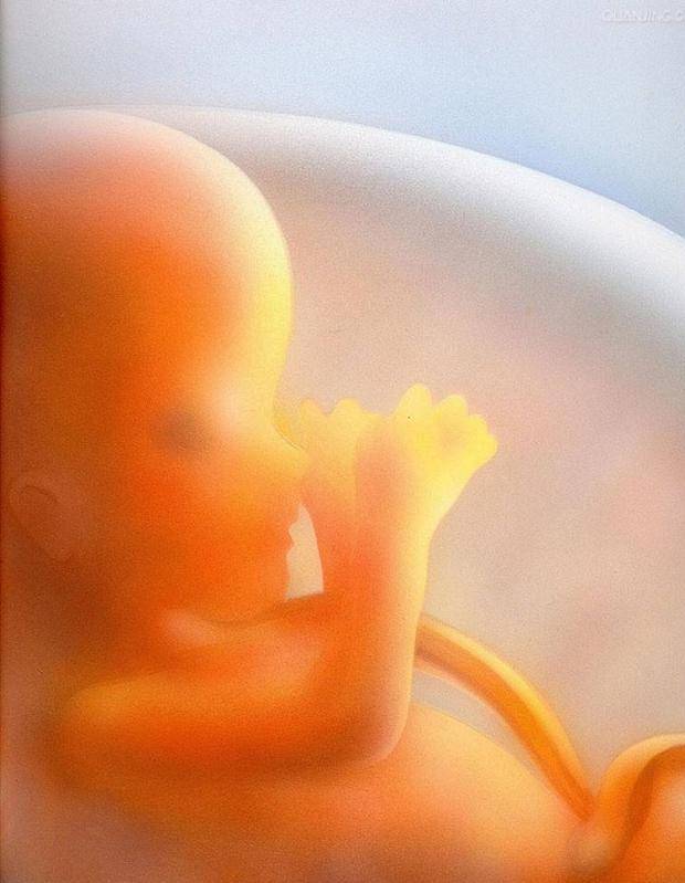 原创怀孕36周双顶径9.3,胎儿大概有多少斤?孕妈心里有没有数?