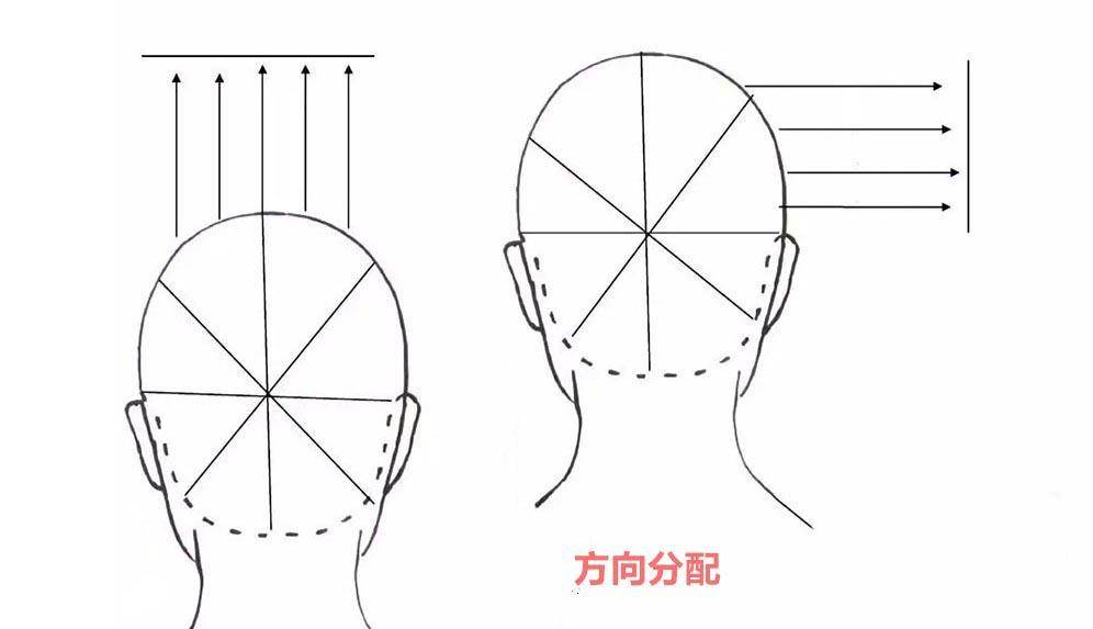 发型师必修课,发型基础理论知识,发型的科学分区