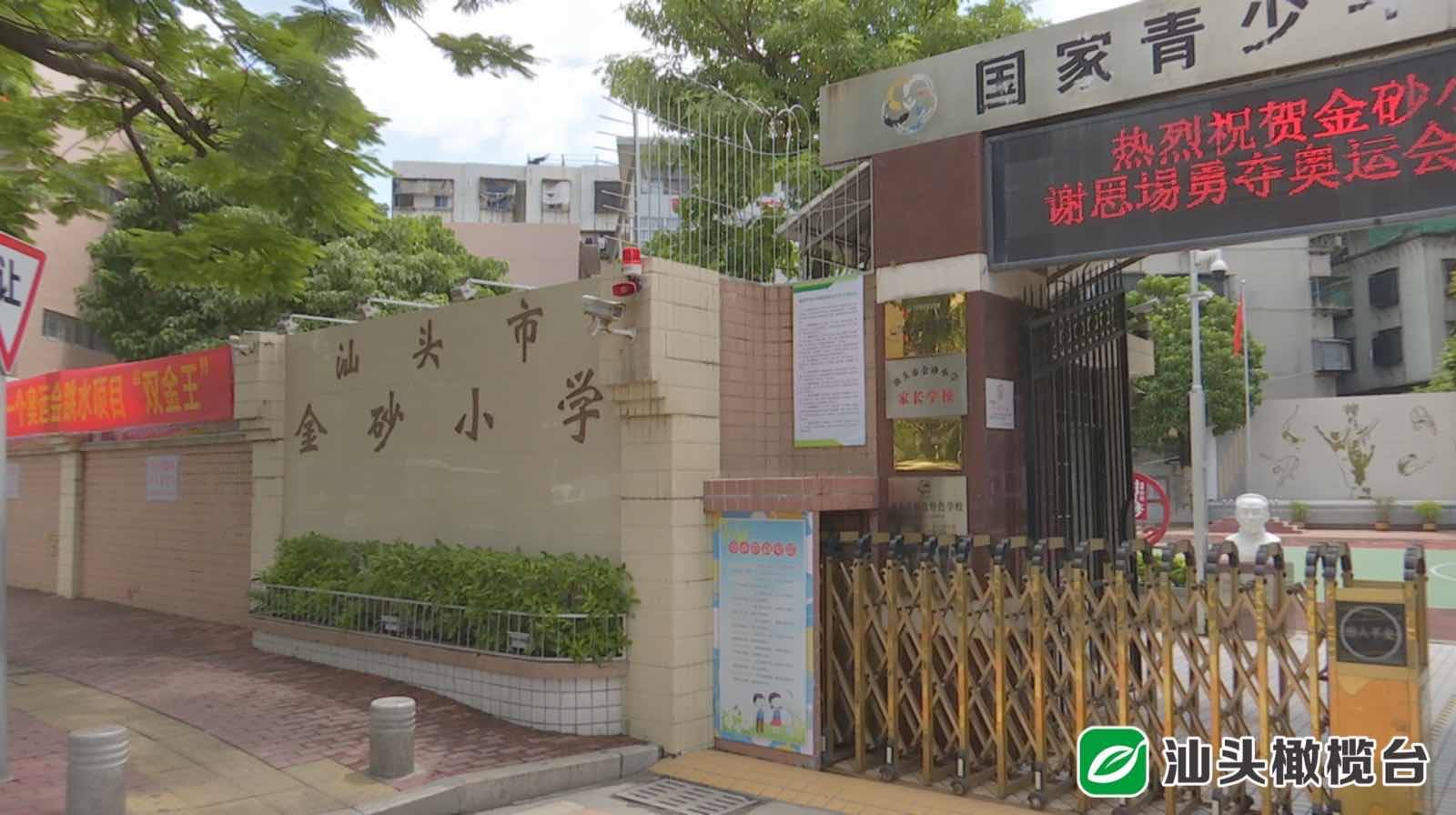 【我眼中的"双金王"】金砂小学副校长林立伟:谢思埸有