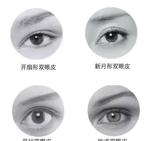 我们的双眼皮大致分为这几种类型: 开扇形双眼皮 新月形双眼皮 欧式大