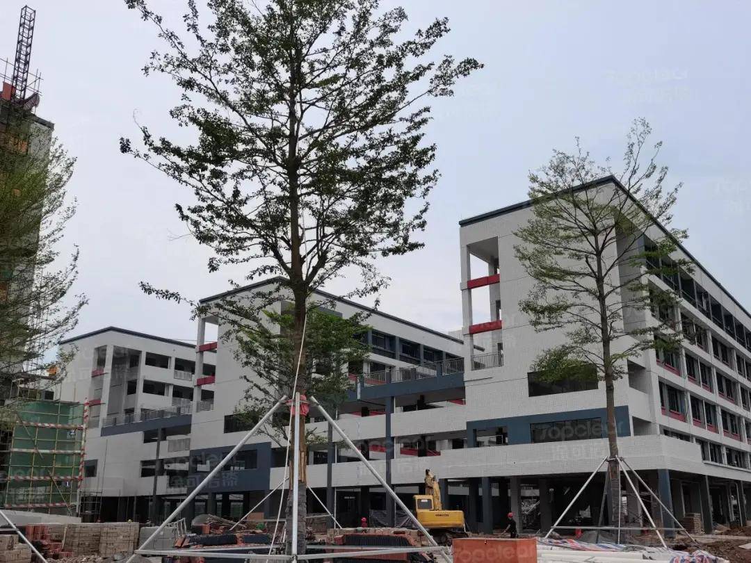 工程案例跟进|华南师范大学附属肇庆碧海湾学校建设中(二)