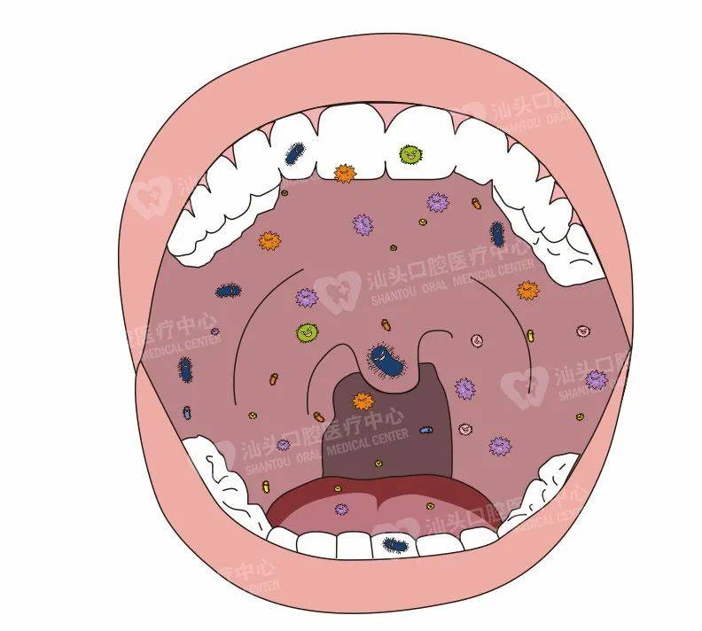 口腔微生物与全身疾病紧密相连 在人类的口腔中至少有超过600种不同