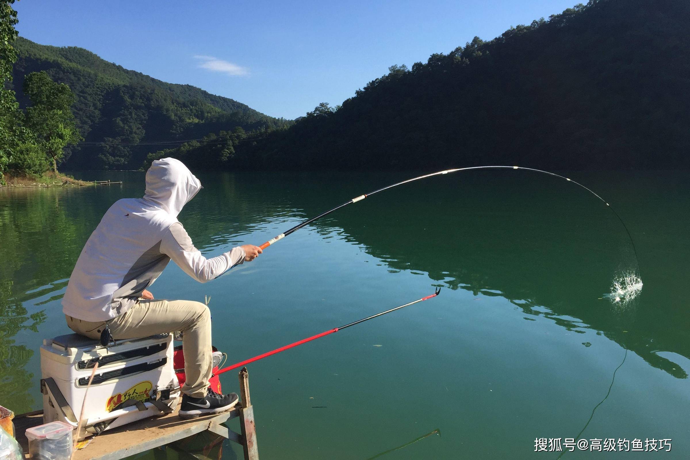 钓大鱼首先要了解大鱼的生活习性