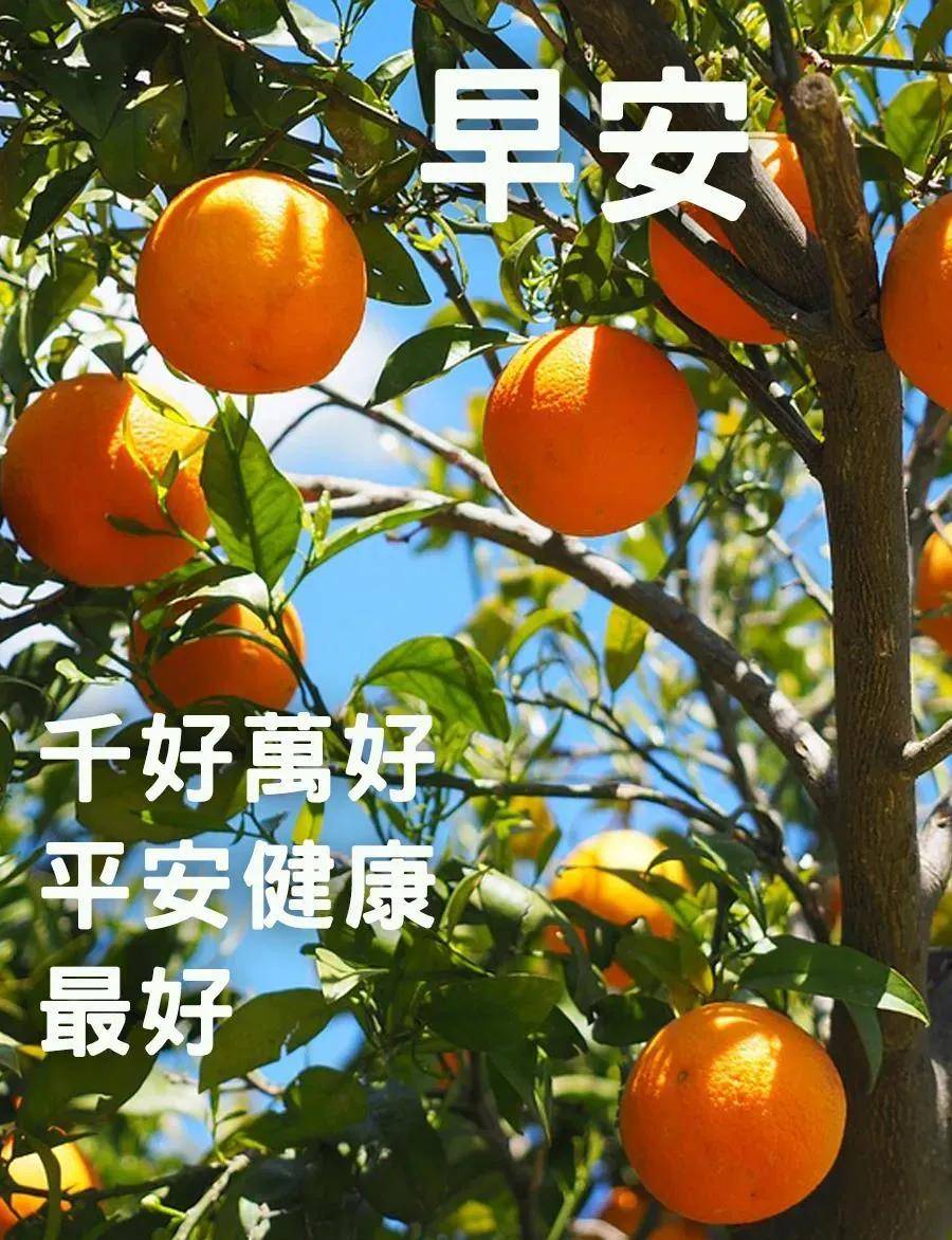 早上好2021风景图片,早上好2021图片带文字 9张秋日有创意早上好免打字图片带祝福语 2021秋日温馨的早上好问候语