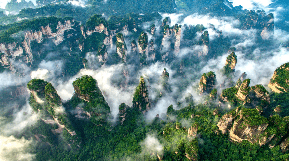 奇峰异石,张家界国家森林公园与天子山景区