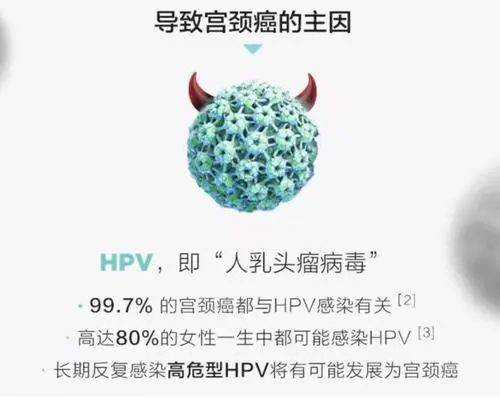 在宫颈癌病人中,有近90%的宫颈癌组织中可检测到hpv,而hpv16型就占了