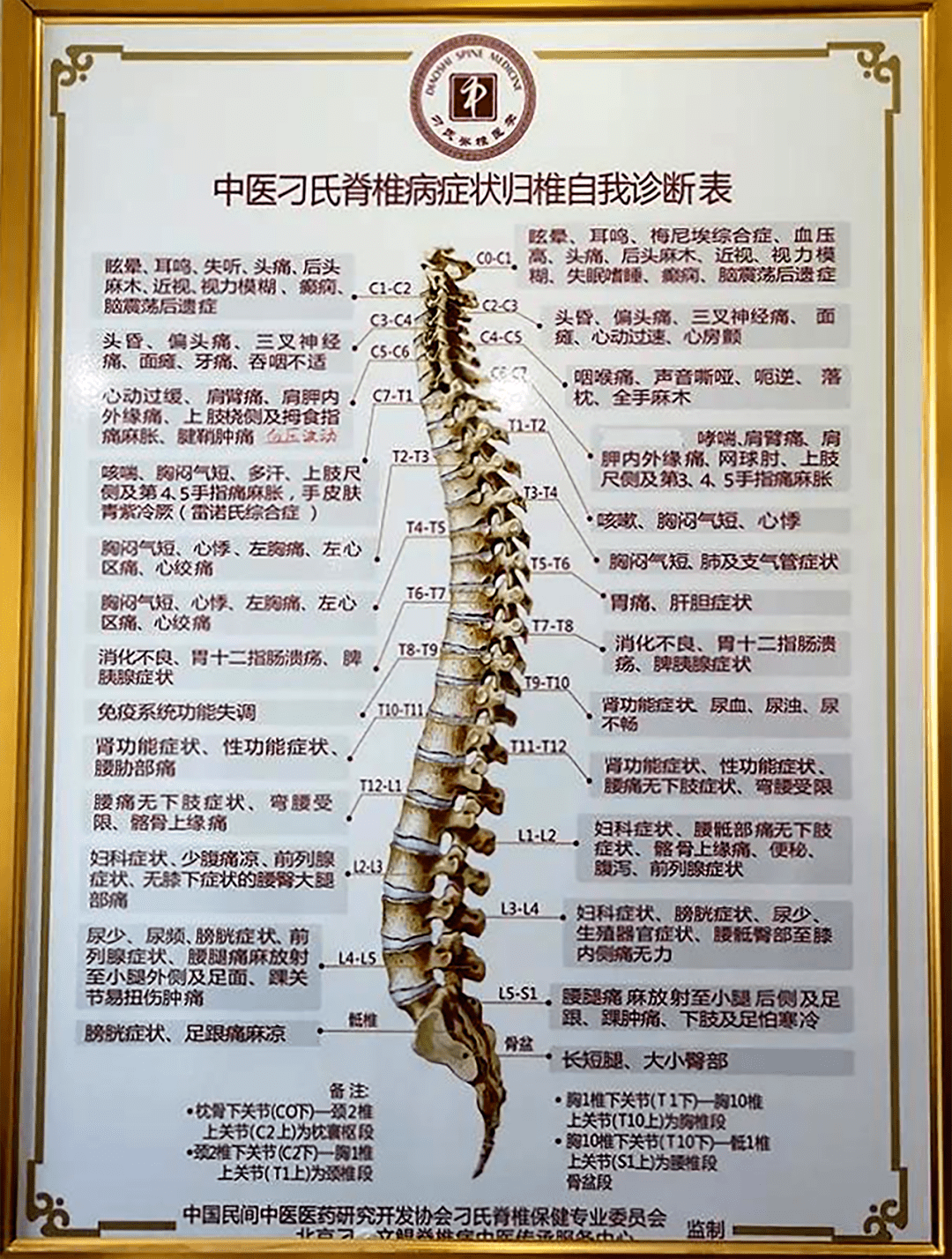 人体疾病与脊椎关系一览表