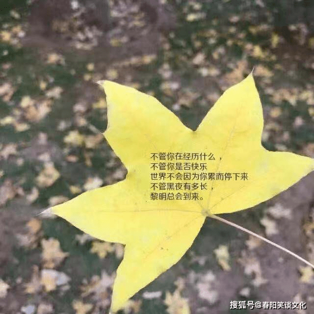 2021简短的个性签名,句句经典入骨,总有一句让你心仪
