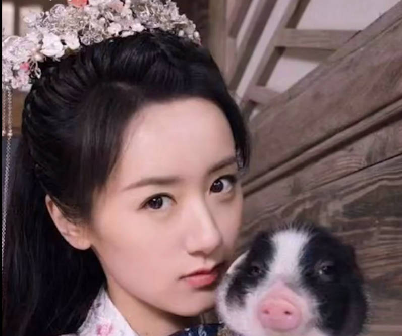 原创袁冰妍的宠物猪丢失,助理找到后反怪路人故意藏猪,双方街边争吵