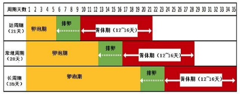 怀孕多少周怎么算？计算＂胎儿孕周＂的错误和正确方法,早了解