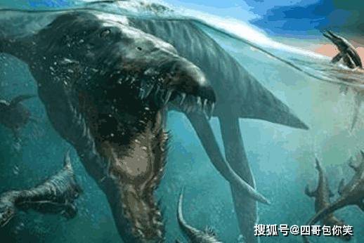 巨齿鲨是海洋王者无人能敌生物学家那是因为没遇到它