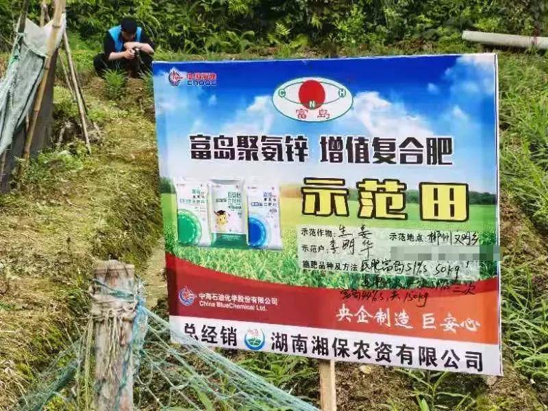看增值迎丰收大型三农主题系列报道富岛翔燕乡村振兴看增值
