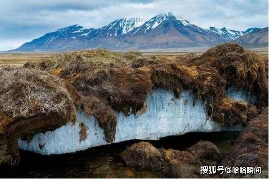 同时,近年来不断有消息传来,很多在永冻土层中冰封上万年的远古微生物