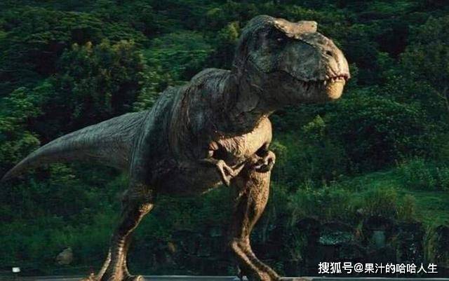 和霸王龙同一个祖先,科学家发现全新恐龙品种,这个子实在太小了