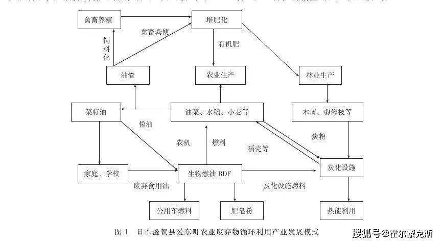 田里可以养鱼养虾?生态循环农业是啥?_模式