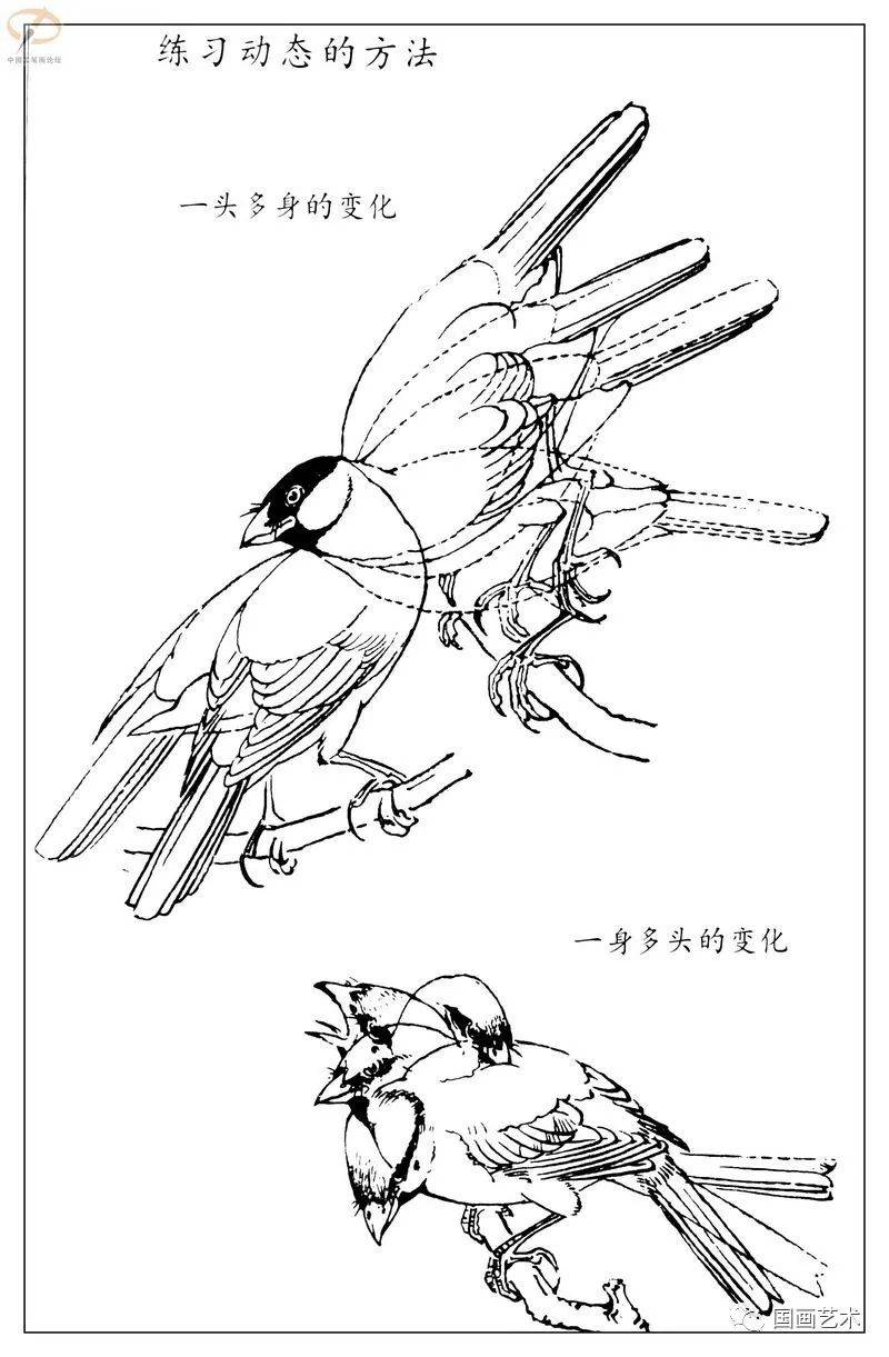 白描麻雀百图分享