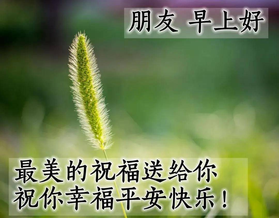 8张创意好看的秋天早安早上好图片带祝福语 秋日清晨朋友圈早安问候语