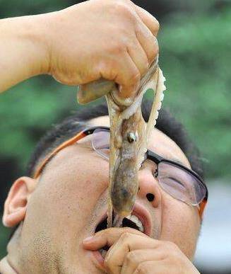 实拍韩国人吃活章鱼,不少人窒息而亡