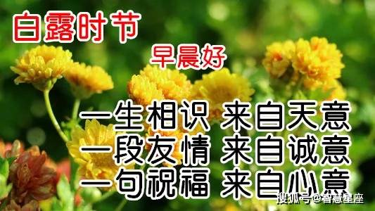 9月7日白露最漂亮早上好动态表情图片大全,早晨好动图美图大全