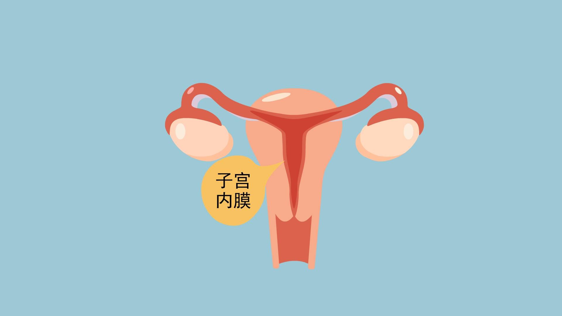 武汉仁爱医院专业妇科:3个原因让你的子宫内膜越来越薄!
