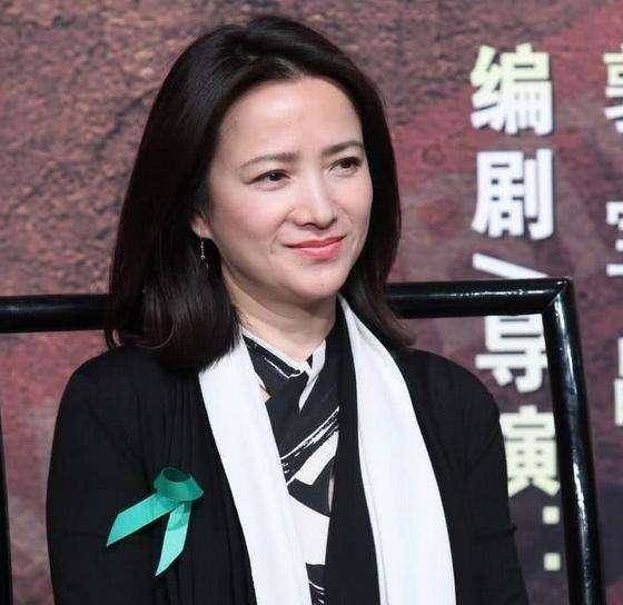 56岁何晴不扮嫩不遮肉,虽然身材发福明显,却依旧美得典雅端庄
