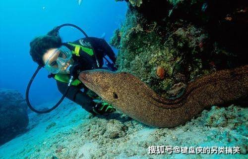 看完这些你就明白了_生物