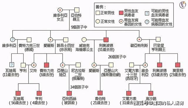 为了保证血统纯正,这些皇室坚持近亲结婚,结果厄运连连