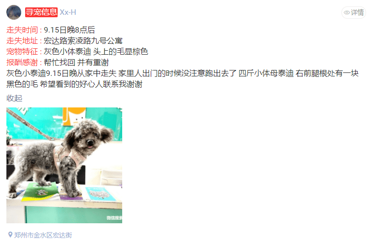 [寻猫寻狗团队]09月15日猫狗走失信息