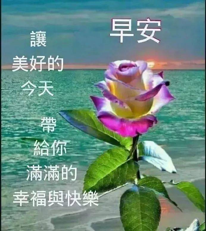 原创2021最新早安祝福语大全 牛年早安问候语表情图片 牛年祝福语短句