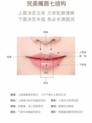 在上唇中部有一条纵沟,称人中,这是人类特有的结构,也是构成上唇美的