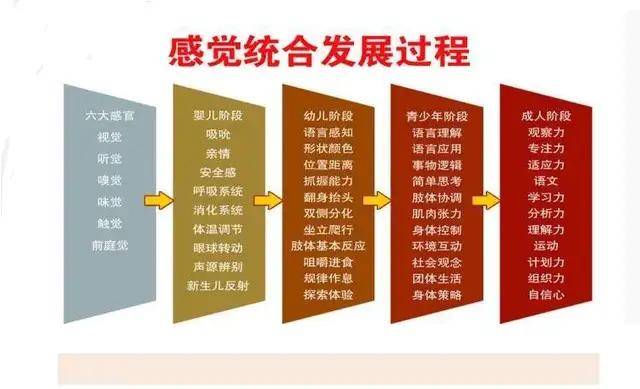 孩子各时期感统失调的行为轨迹,看了才知道感统训练有多重要_感觉