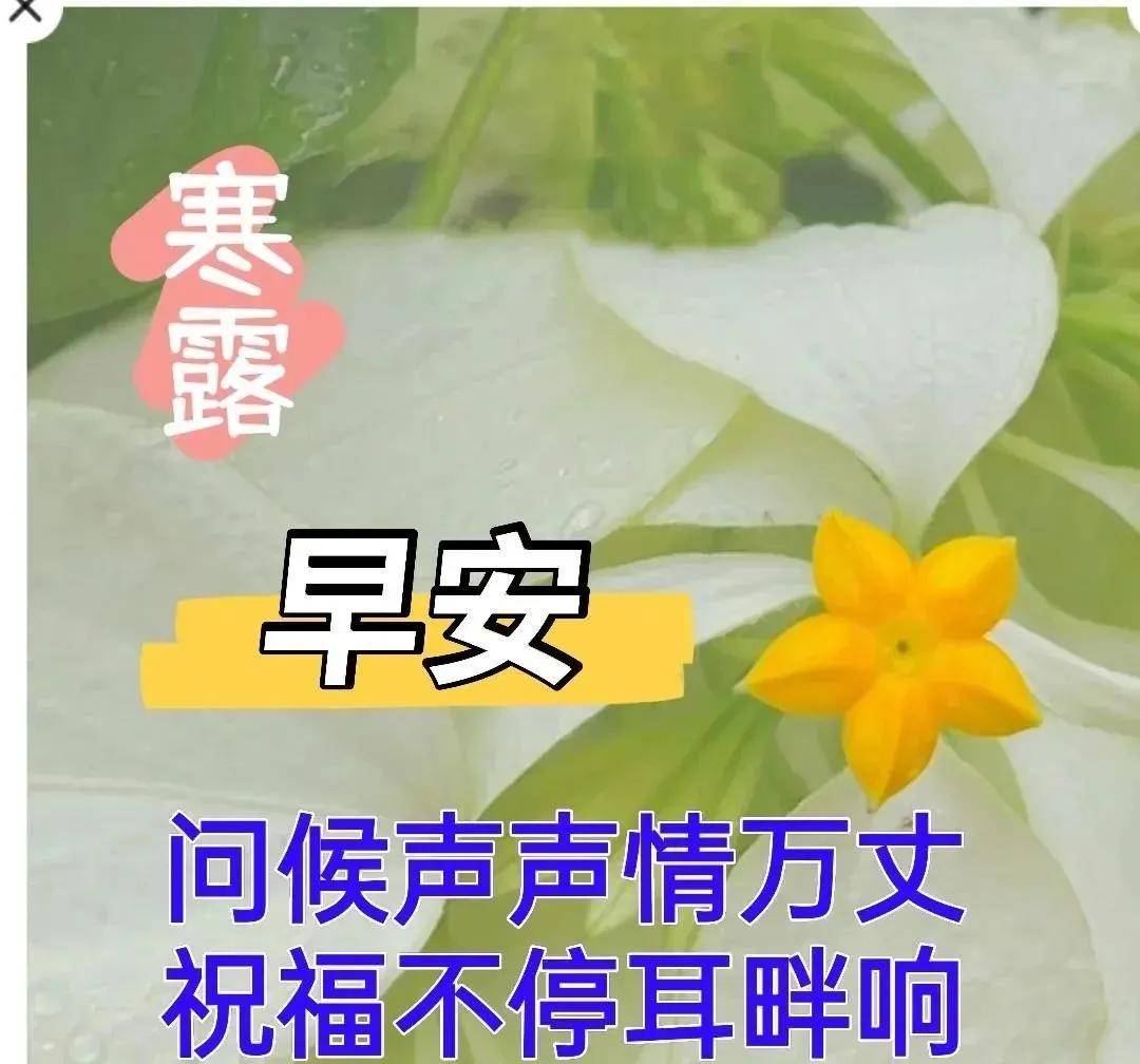 9张寒露最新有创意的早上好祝福语表情图片带字 寒露免打字的早安图片