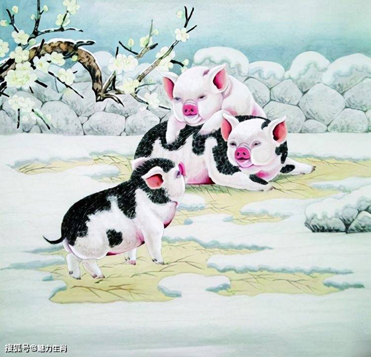 生肖猪