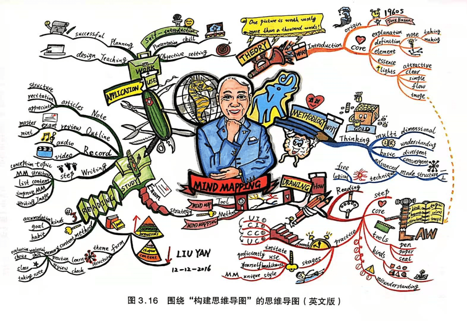 【思维导图画作文】 我的仙人掌观察日记(八)