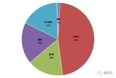 图18 俄罗斯电力能源结构