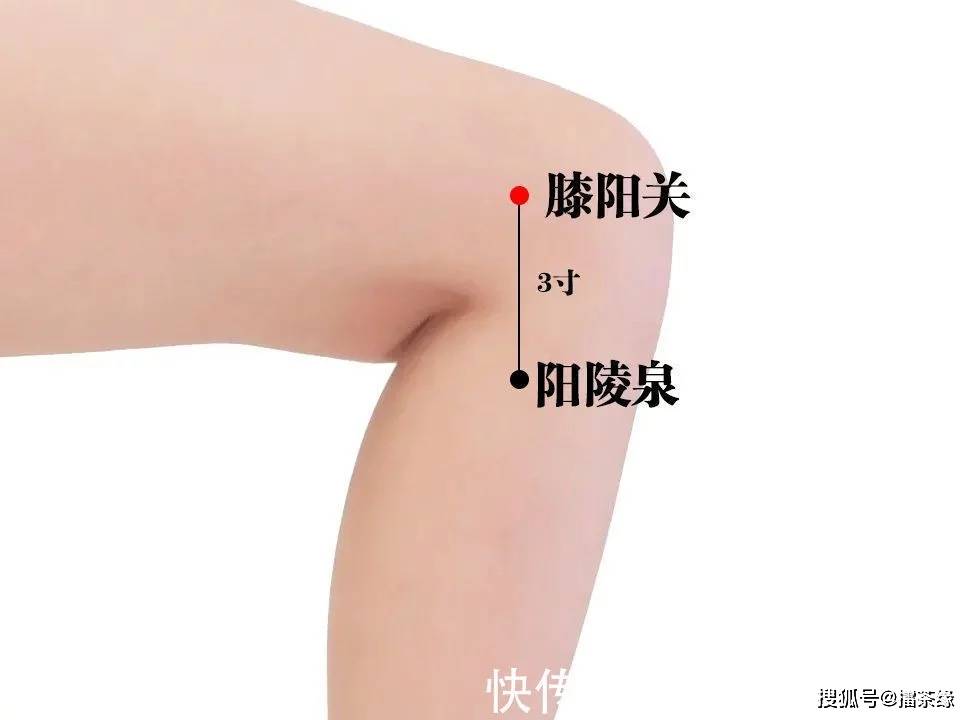 一条神奇经络,每天敲50下,气血足了,头发黑了,水肿毒素都消失